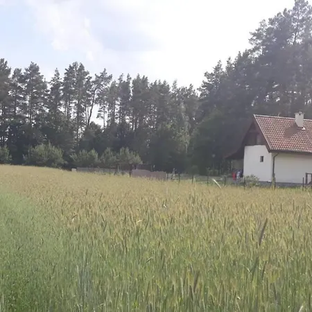 Lesny Zakatek Mazury * פייצקי