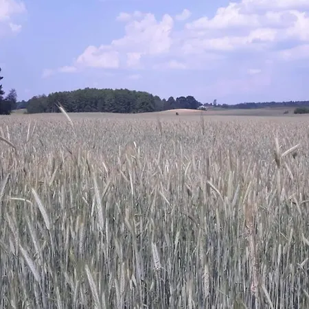 Holiday home Lesny Zakatek Mazury *